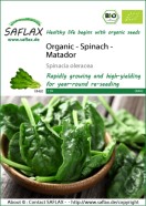 Spinach Matador ORGANIC Seeds